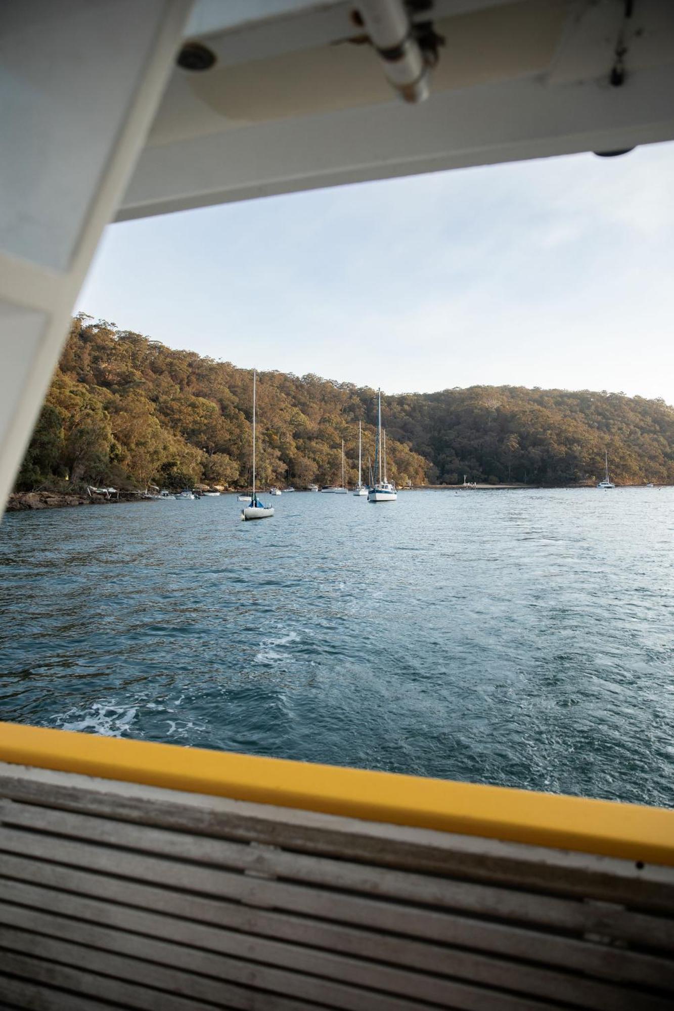 Great Mackerel Beach Cape Mackerel Cabin With Magic Palm Beach & Pittwater Viewsヴィラ エクステリア 写真