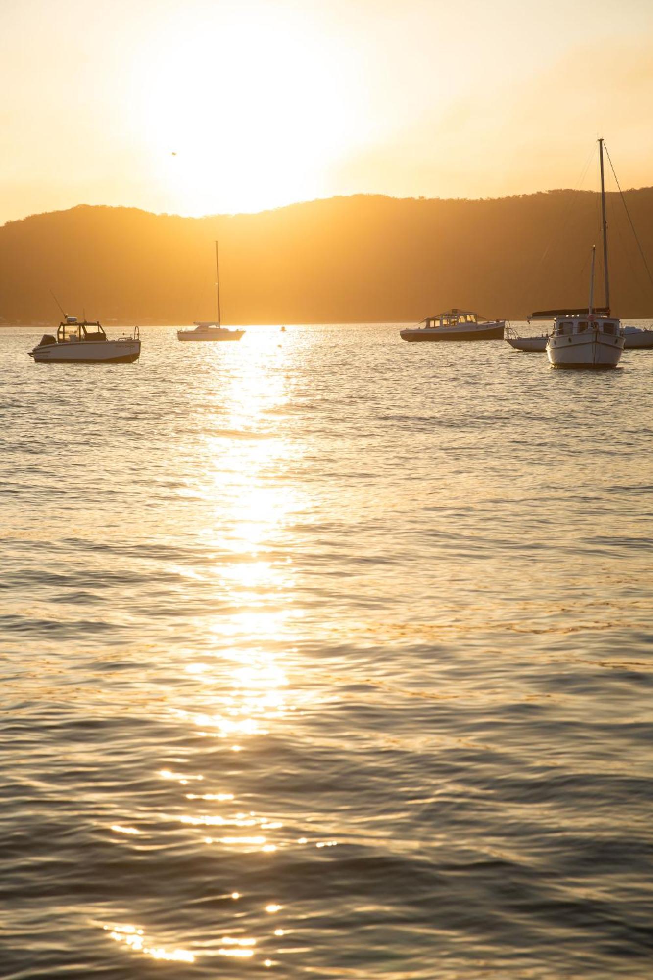 Great Mackerel Beach Cape Mackerel Cabin With Magic Palm Beach & Pittwater Viewsヴィラ エクステリア 写真
